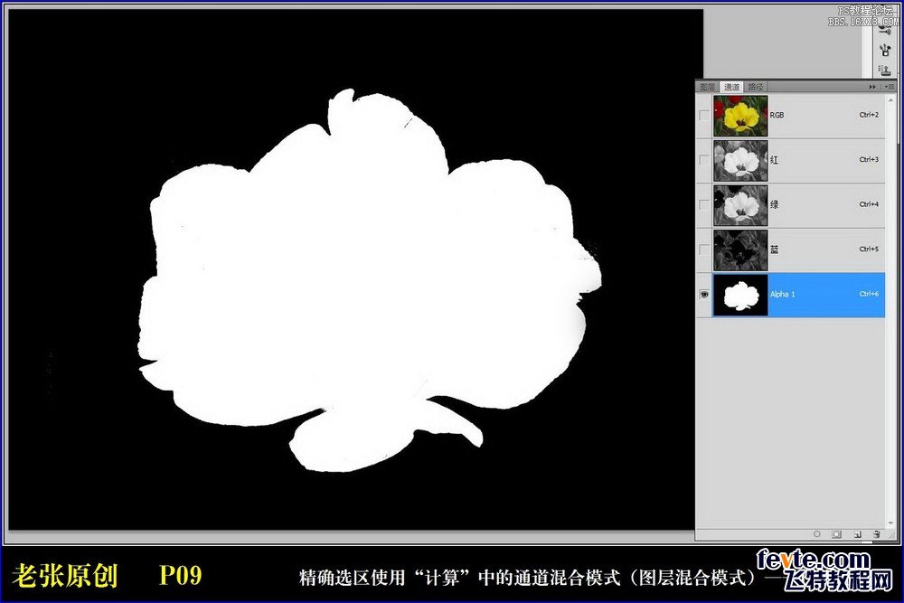 ps利用計(jì)算命令計(jì)算選區(qū)和更換顏色