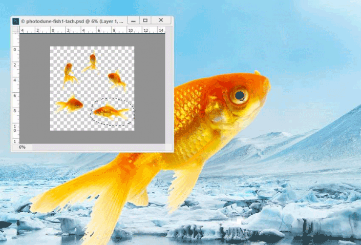 冰雪效果，在PS中合成一个超现实感觉的冰块鱼