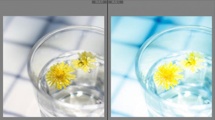 LR调色教程，通过LR给夏日静物调出一种小清新色调