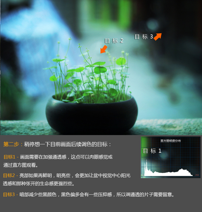 PS调出小清新植物图片