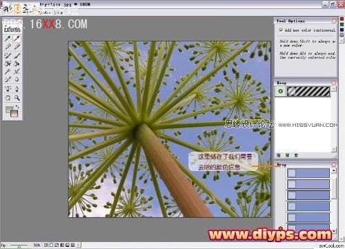 Photoshop抠图教程：Mask pro 4.11抠图使用教程,PS教程,思缘教程网