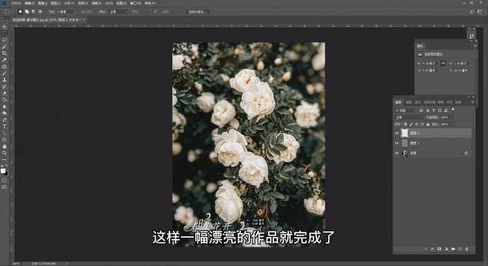 抽线效果，用抽线效果给花朵制作个性化的效果