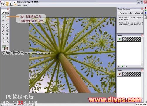 Photoshop抠图教程：Mask pro 4.11抠图使用教程,PS教程,思缘教程网