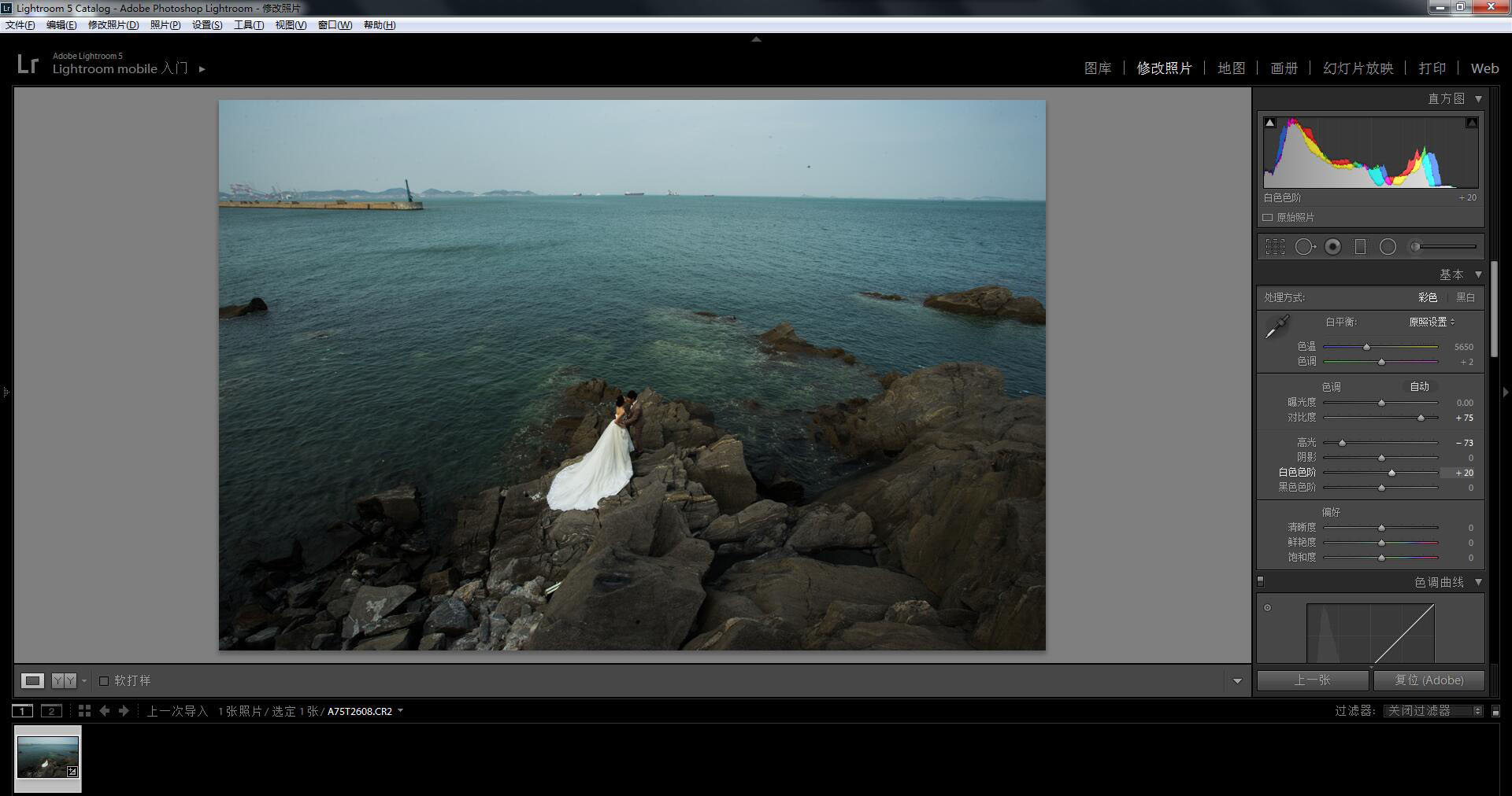影楼后期，利用LR+PS调出高端大气的海景婚纱写真照片实例