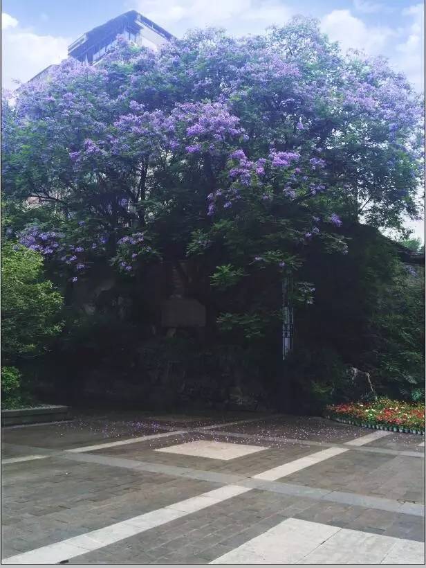 风景照片，把手机里随手拍的风景照通过PS制作成韩式风格照片