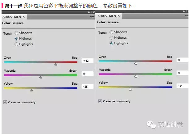 動物惡搞，合成背上長草的蝸牛圖片