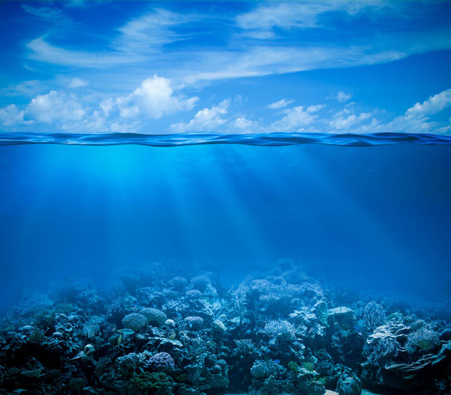 节日海报，七夕情人节浪漫主题海报