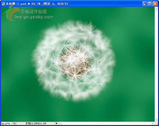 Photoshop绘制绿色原野上的蒲公英