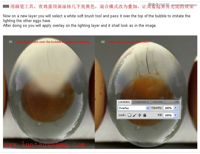 Photoshop打造透明形態(tài)的雞蛋創(chuàng)意合成教程