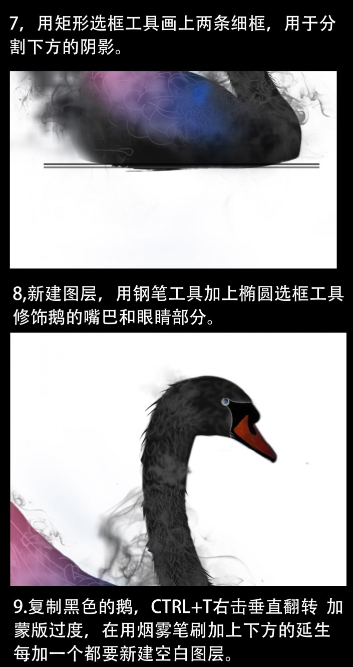 动物海报，设计黑天鹅主题海报
