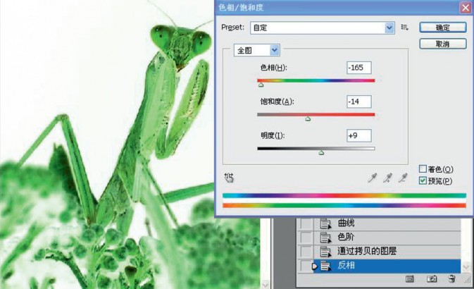 Photoshop給攝影中的螳螂做后期修飾,PS教程