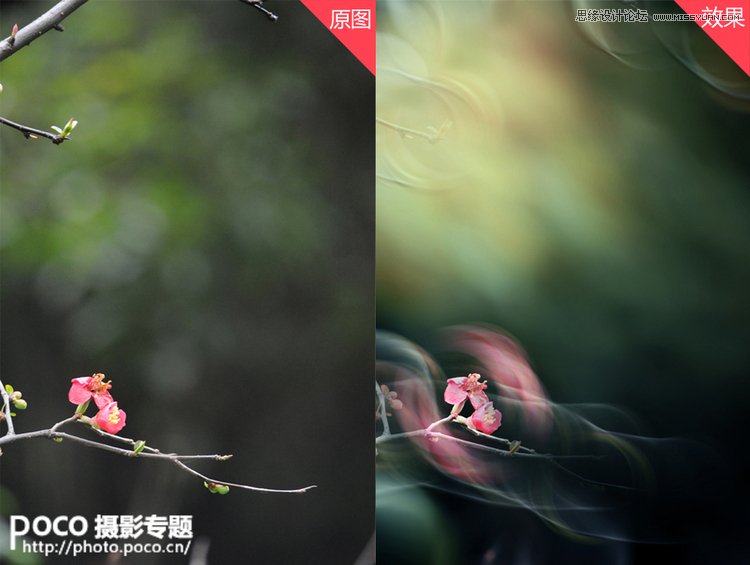 Photoshop設計絢麗的光線花枝背景效果,PS教程,16xx8.com教程網