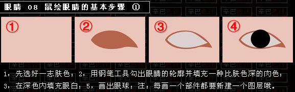 眼睛的構(gòu)造及鼠繪過程介紹