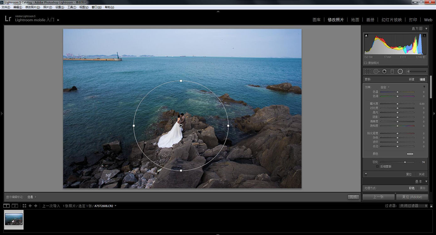 影楼后期，利用LR+PS调出高端大气的海景婚纱写真照片实例