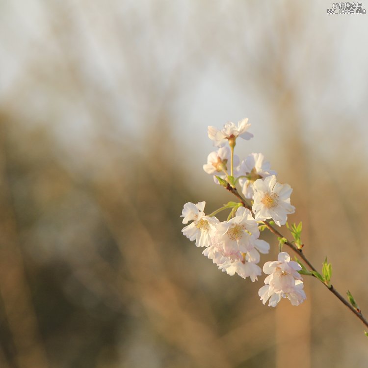 輕松幾步教你調(diào)出日系范兒經(jīng)典白青色