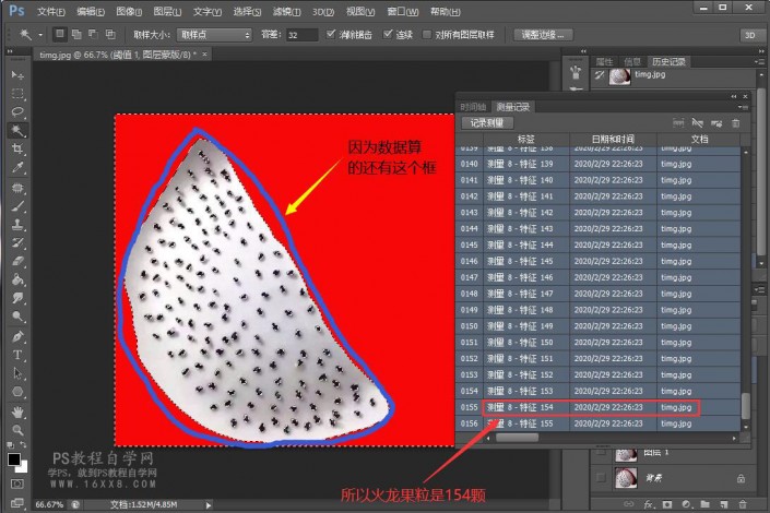 快速計算，用PS科學(xué)計算出圖中的火龍果籽有多少顆