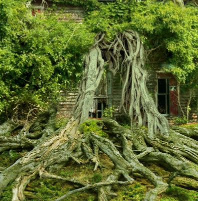 在photoshop中合成飄浮于空中的樹屋場景教程