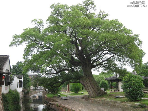 ps素材合成古典園林場(chǎng)景教程