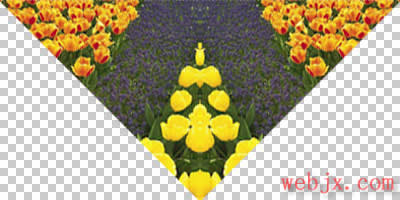 Photoshop简单方法打造一个美丽的花坛