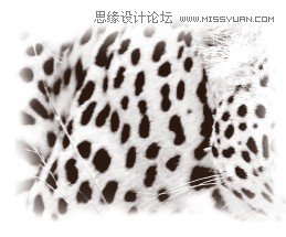 Photoshop制作逼真的豹纹花型图案教程