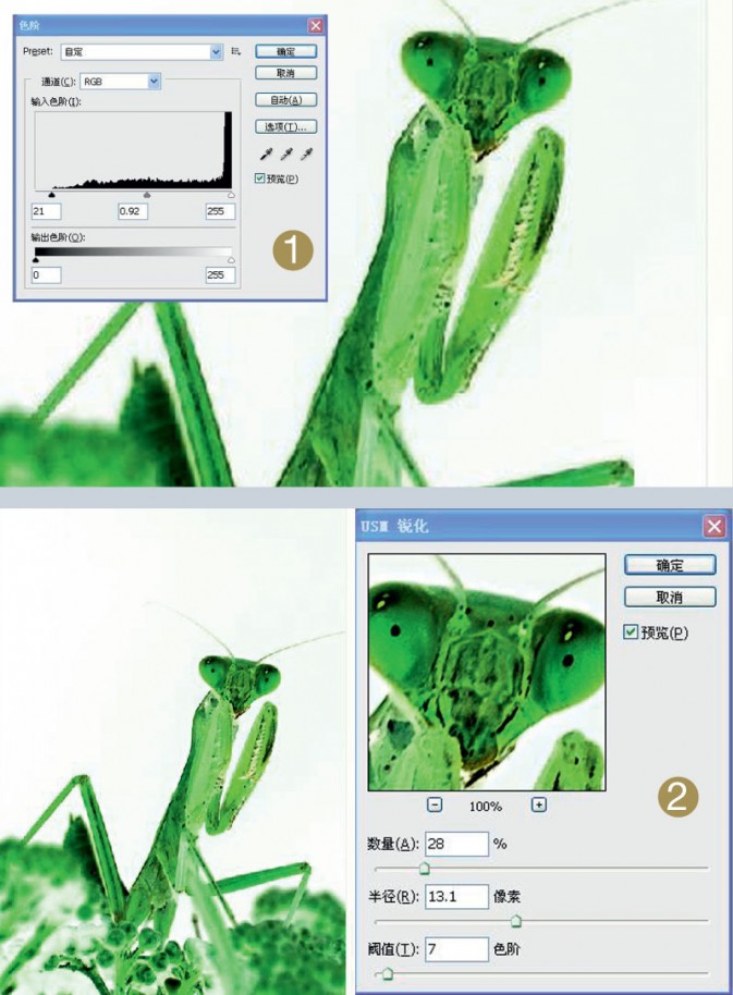 Photoshop给摄影中的螳螂做后期修饰,PS教程