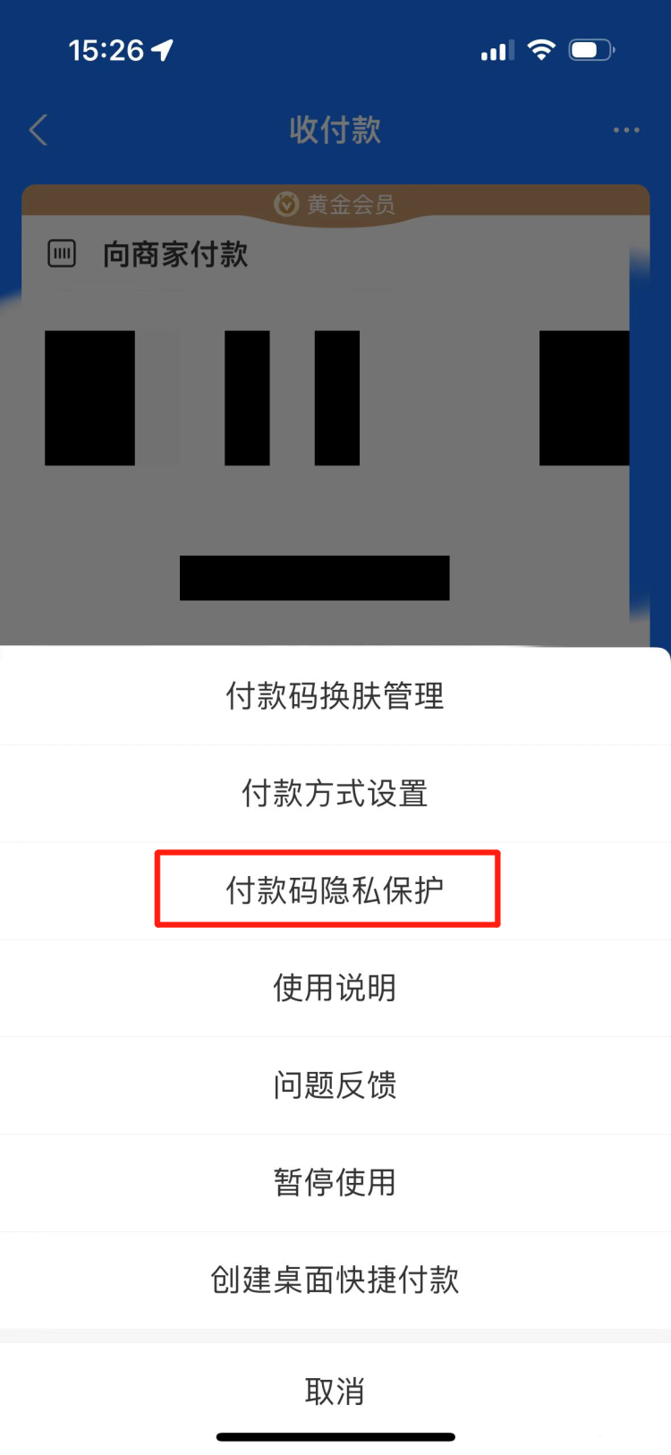 支付宝如何自动隐藏付款码 支付宝开启付款码隐私保护功能教程一览