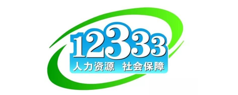 12333是什么平臺(tái)