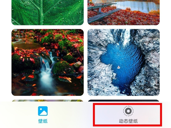 榮耀Magic5Pro怎么設(shè)置動態(tài)壁紙 榮耀Magic5Pro更換壁紙步驟介紹