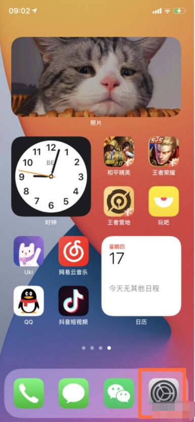 ios14镜像怎么关闭 ios14镜像关闭教程截图