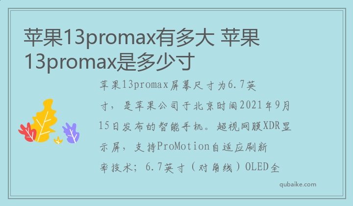 蘋果13promax有多大 蘋果13promax是多少寸