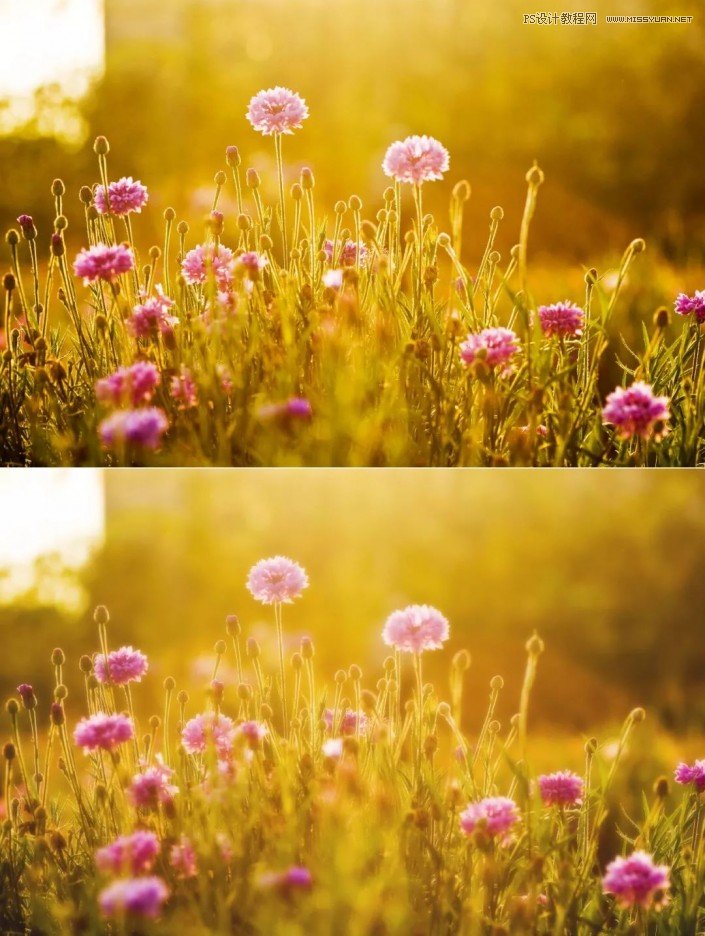 Photoshop快速制作數(shù)碼照片柔焦藝術(shù)效果