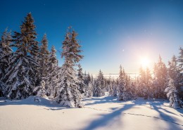 北方山林雪景圖片(19張)