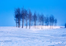 冰天雪地的自然风景图片(9张)