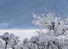 唯美冰雪風(fēng)景圖片(10張)