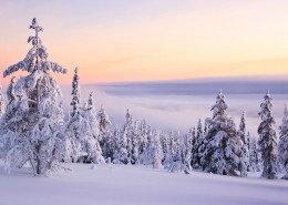 冬季秀麗雪景圖片(8張)