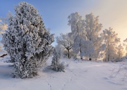 冬季大雪覆蓋的風(fēng)景圖片(12張)