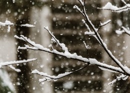 冬季的雪景图片(11张)