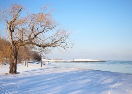 冬天唯美的雪景图片(11张)