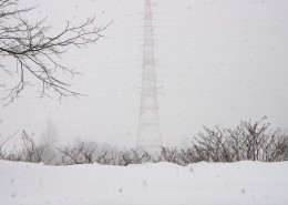 冬天的雪景图片(10张)