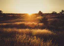 美麗的夕陽景色圖片(10張)