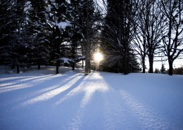 美丽的雪景图片(11张)