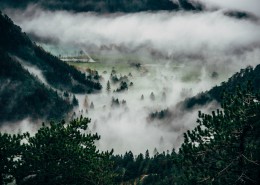 濃霧彌漫的景色圖片(12張)