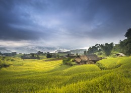 秋季乡村梯田风景图片(11张)