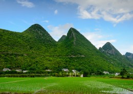 田園風(fēng)景圖片(5張)