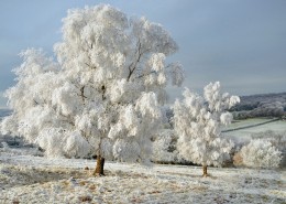 唯美的冬季雪景圖片(6張)