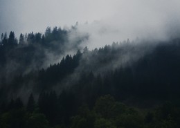 霧氣彌漫的山林圖片(18張)