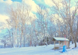 郊外的美丽雪景图片(10张)