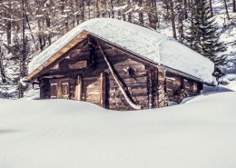 洁白无瑕的雪景图片(10张)