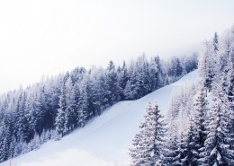 自然雪景風(fēng)景圖片(14張)