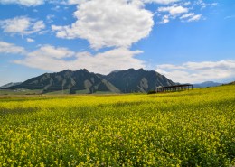 新疆烏魯木齊南山雪嶺鷹溝自然風(fēng)景圖片(13張)